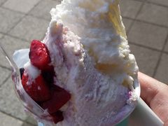 B̓̉w  EÍ≺ւ̓eʐ^1