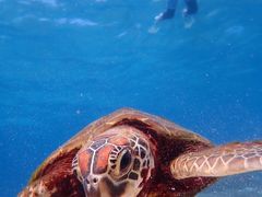 ܁[Ⴓimtida{Óւ̓eʐ^1