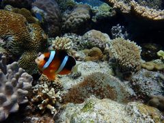 ΂񂳂̃}Vbv }[Chւ̓eʐ^1