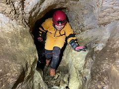 炳POLEPOLEւ̓eʐ^4