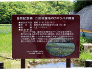 �C�C�ꃉ�C�_�[����̓񔽓c���r�J�L�c�o�^�Q���n�̓��e�ʐ^3