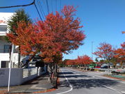 ڂ炳̒lbgn[o[̓eʐ^2