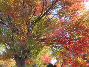 ڂ炳̒lbgn[o[̓eʐ^3