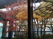 ̃_CjOJtF ZJ A~vU܂ƓX̓eʐ^2