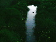 �C�C�ꃉ�C�_�[����̋{��z�^���̗��̓��e�ʐ^1