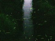 �C�C�ꃉ�C�_�[����̋{��z�^���̗��̓��e�ʐ^2