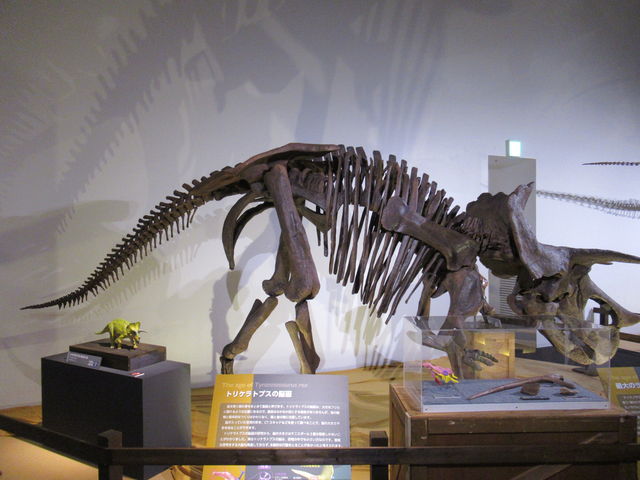 �g���P���g�v�X_�����s�Ȋw��