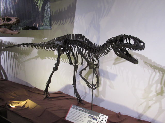 �t�N�C���v�g��_�����s�Ȋw��