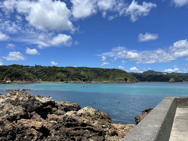 �{��_�h���S�����f�B