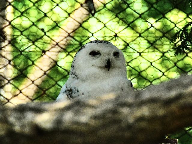 ����_���R������