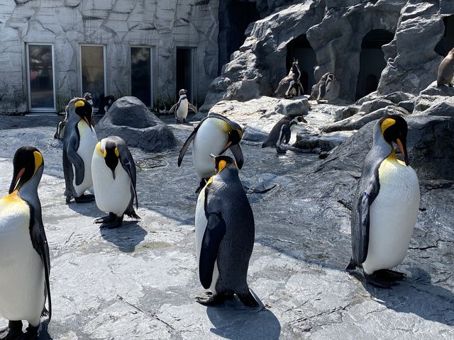 �y���M���P_���R������