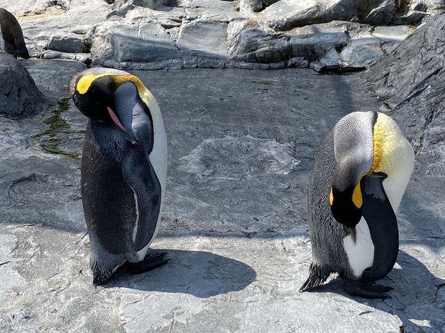 �y���M���Q_���R������