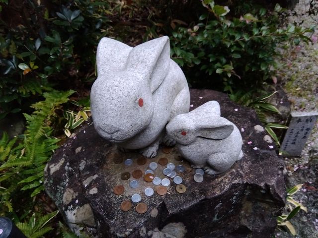 �e�q�B_���V������_��