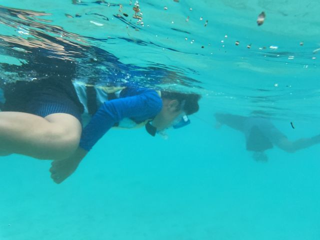 �C�K���T��_�V���m�[�P���c�A�[�@��`��