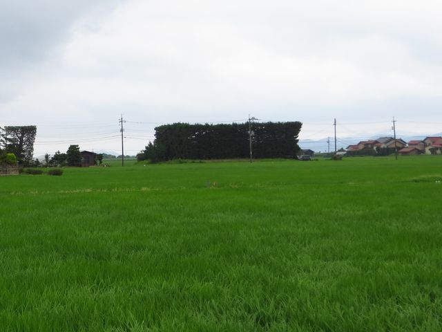 発表！ 出雲平野の築地松フォトコンテスト入賞作品 (2009年