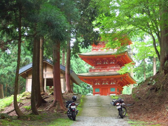 CCꃉC_[̖_Ђ̓eʐ^1