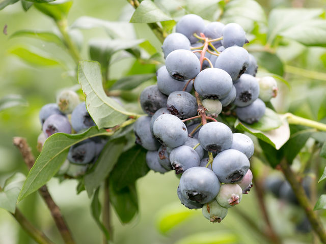 傫ȃu[x[łB_܂㌒N_