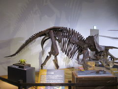 Rabbit̕sȊwقւ̓eʐ^2