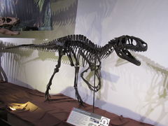 Rabbit̕sȊwقւ̓eʐ^3