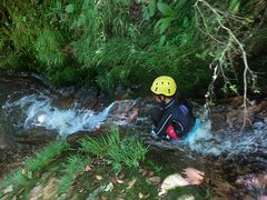 coco����̍��n�V�уA�h�x���`���[�c�A�[�Y OMUSUBI�ւ̓��e�ʐ^1