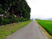 CCꃉC_[̏o_̒zn̓eʐ^5