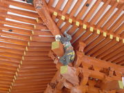 CCꃉC_[̖_Ђ̓eʐ^7