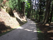 CCꃉC_[̖_Ђ̓eʐ^8