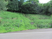 CCꃉC_[̐R̓eʐ^7