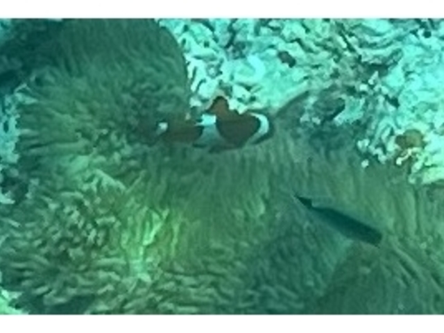 �j�������I_�A�N�A�x�[�X