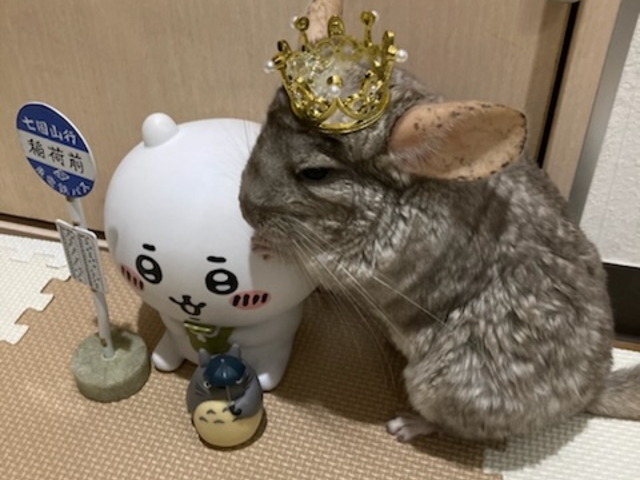 �f�G�Ȃ������肠�肪�Ƃ��������܂�(^^)_�ߑO2���̃n���l�Y�~����