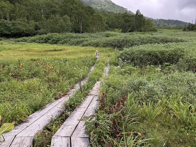 �V�C���ǂ���΂Ȃ��ǂ�_�̒r����