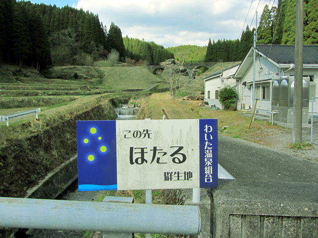 CCꃉC_[̋S{V̓eʐ^4