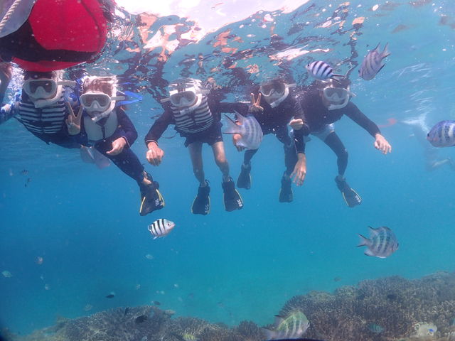 �ʐ^����������B�e���Ă��������܂����I_EGG�_�C�r���O�V���b�v