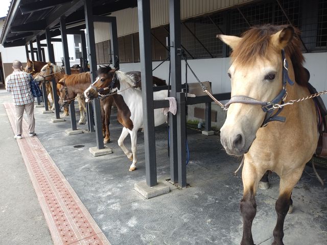 ���킢�����n����B���j���W����҂��Ă܂��B_�f�R�z�[�X�p�[�N