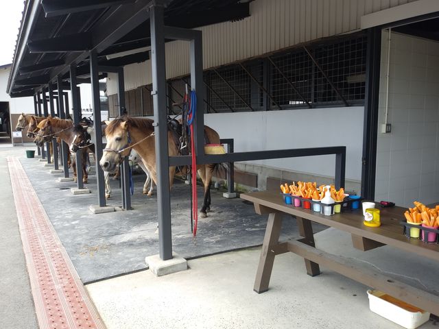 �j���W����1�J�b�v100�~�B_�f�R�z�[�X�p�[�N