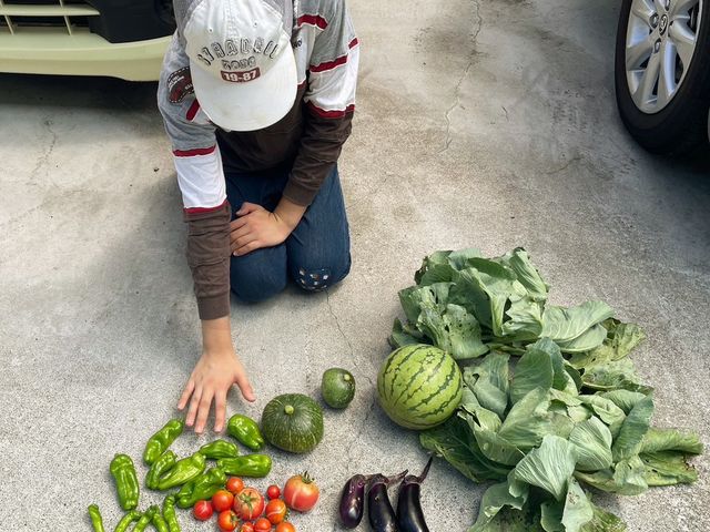 �F�X�Ȏ�ނ̎��n���ł��Ċy���������ł��I_�R�~���j�P�[�V�����t�@�N�g���[