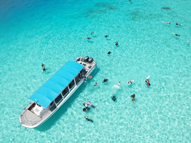 �G�������h�O���[���̔������͊����I_Cheerful �{�Ó�