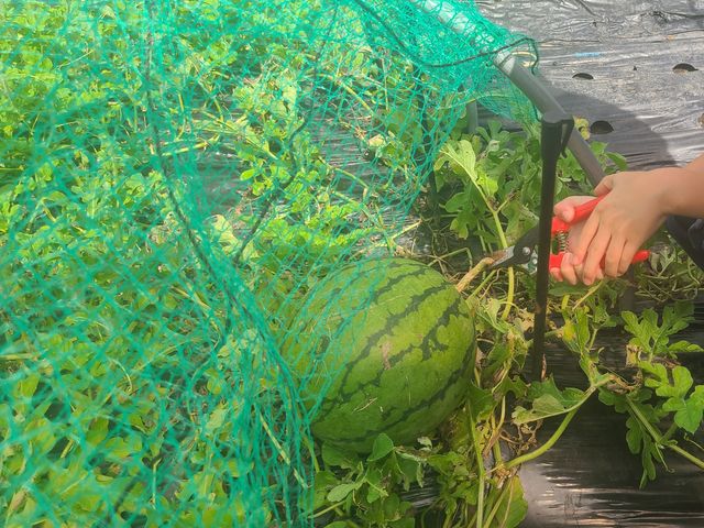 �Â��Ĕ������������ł�!_�R�~���j�P�[�V�����t�@�N�g���[