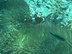 ͂܂̃ANAx[Xւ̓eʐ^2