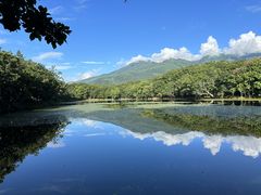 䂩̊Вmc[Xgւ̓eʐ^1