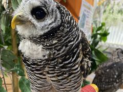 ŝρ[@tNEJtFr܂ւ̓eʐ^1