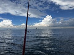 �ނ�D�܂邩�̎ʐ^2