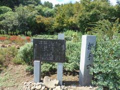 gV[̖֏ՌwR[Xւ̓eʐ^1