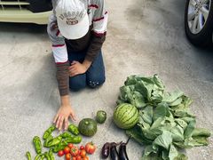 ݂イ݂イ̃R~jP[Vt@Ng[ւ̓eʐ^1