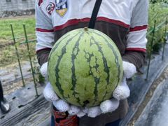 ݂イ݂イ̃R~jP[Vt@Ng[ւ̓eʐ^2