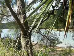 ~LeB̂ȂCӂ̎RwZւ̓eʐ^1