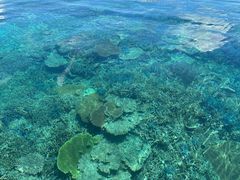 ̃}T[rX@pb\ւ̓eʐ^1