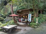 ͂Ȃӂǂ̔\ƂĂ@̓eʐ^1