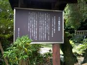 ͂Ȃӂǂ̔\ƂĂ@̓eʐ^2