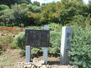 gV[̖֏ՌwR[X̓eʐ^1